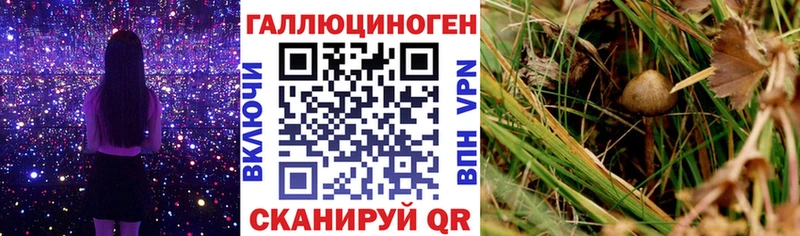 Галлюциногенные грибы MAGIC MUSHROOMS  Кохма 