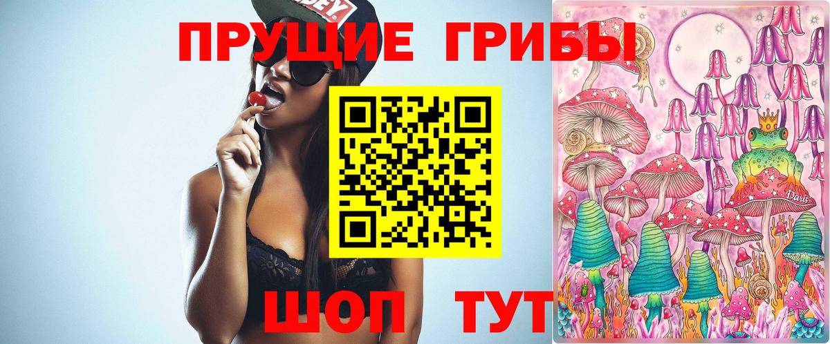 Псилоцибиновые грибы прущие грибы  купить наркотики сайты  Кохма  Вход с VPN 