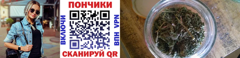 Каннабис индика  Кохма 